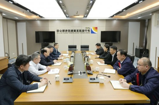 集团公司党委召开领导班子务虚会