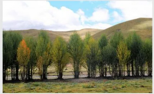 职工文苑丨背上行囊 逐梦前行