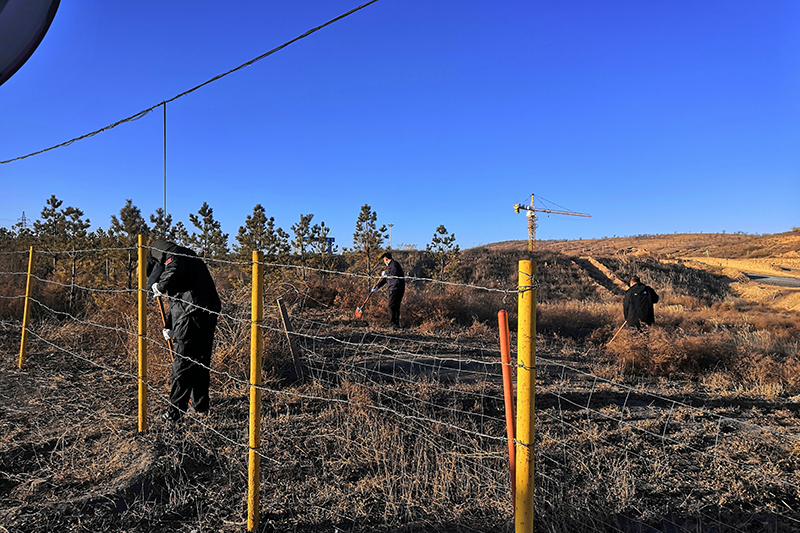 1640248714624828.jpg 2021年12月22日朱家峁煤矿开展“清除杂草,消除火灾隐患”活动(相红伟摄).jpg