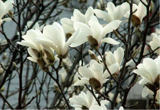 向下扎根 向上生长